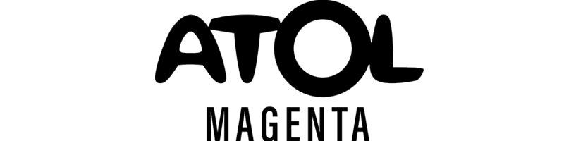 MAIN SPONSOR