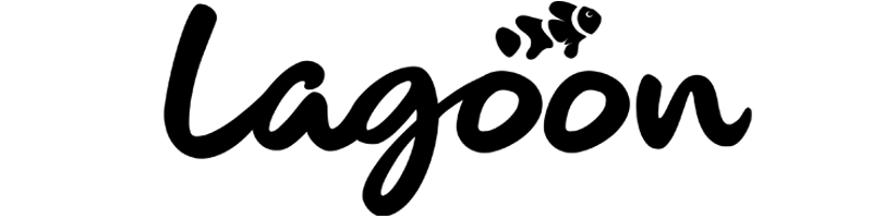 MAIN SPONSOR
